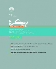 پیکره